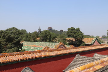 Canvas Print - Cité interdite à Pékin, Chine