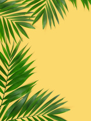 Wall Mural - Green plants summer concept template for your text or design on yellow  paper background.