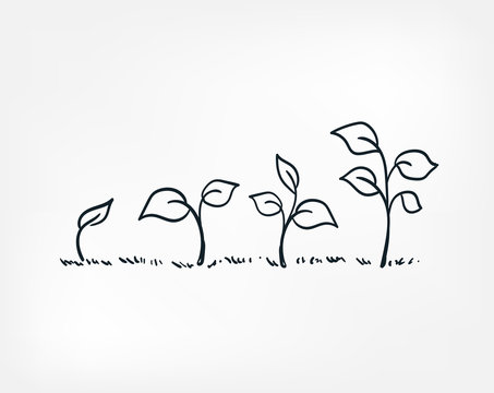 Wall Mural -  - plant growing line art doodle vector symbol sign concept