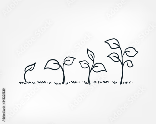 plant growing line art doodle vector symbol sign concept Poster Mural XXL