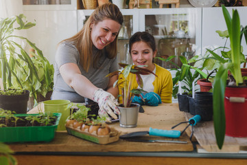 Mother and daughter repotting plants together at home garden. Spring gardening.