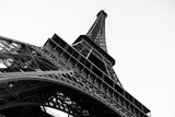 Fototapeta Boho - La Torre Eiffel de París, The Eiffel Tower from Paris