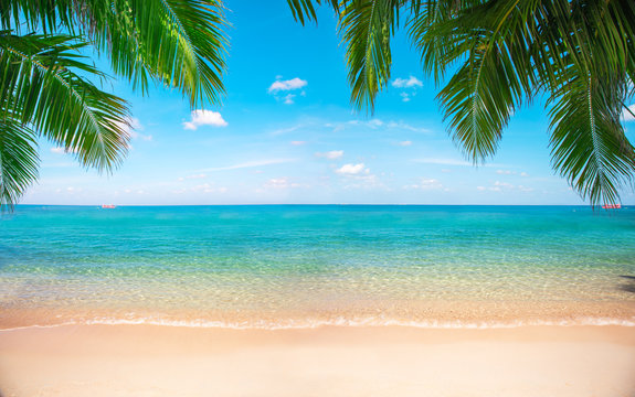 Fototapete - tropical beach with coconut palm