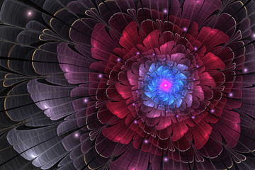Wall Mural - dark red fractal rose, digital artwork for creative graphic design