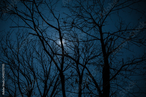 Full Moon Over Quiet Village At Night Beautiful Night Landscape Of Old Town Street With Lights Buy This Stock Photo And Explore Similar Images At Adobe Stock Adobe Stock