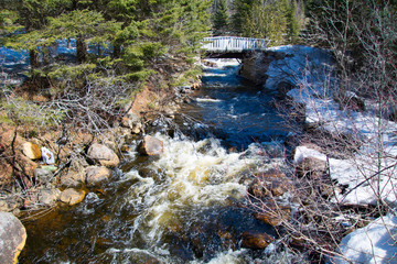 Wall Mural - Rivière du printemps en forêt canadienne, au Québec