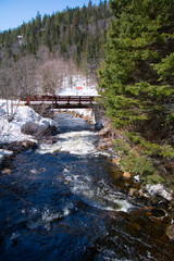 Wall Mural - Rivière printanière en forêt canadienne, au Québec