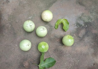 fresh green peas