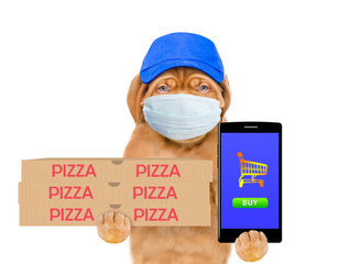 Aufkleber - Pizza delivery dog wearing medical protective mask and blue cap holds pizza boxes and smartphone. isolated on white background