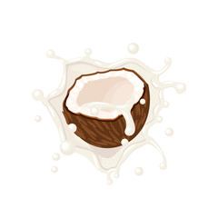 Wall Mural - Coconut in milk splash. Vector illustration cartoon flat icon isolated on white.