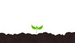One young plant shoot. Seedling germination. Sprout on the soil. Plants growing in the ground. Agricultural spring field. Vector. Copy space.