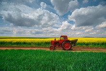 Red Tractor In A Field