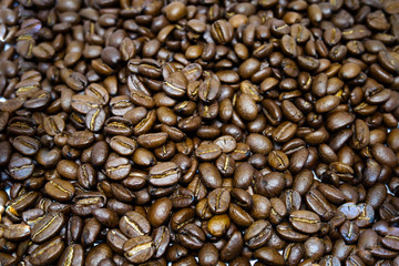 Many brown roasted coffee beans background