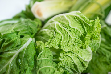 Beautiful background of salad pe-tsai closeup