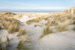 Dunes at the beach at Terschelling
