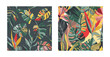 Vector collection of trendy creative summer seamless patterns with floral exotic tropical elements