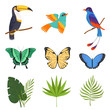 Tropical Collection, Beautiful Butterflies, Birds with Bright Colorful Plumage, Leaves of Palm Trees Vector Illustration
