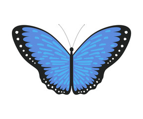 Sticker - Blue Tropical Butterfly, Beautiful Colorful Flying Insect for Decorative Element Vector Illustration