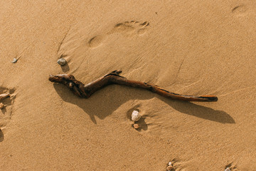 Wall Mural - top view of stick on sandy beach