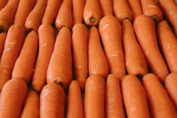 Wall Mural - Organic carrots as texture and background. Top view. Organic and healthy carrots at the market.	