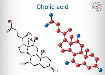 Sticker - Cholic acid, C24H40O5 molecule. It is major primary bile acid produced in liver. Nutritional supplement E1000.  Structural chemical formula, molecule model. Sheet of paper in cage. Vector illustration