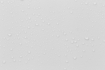 Leinwandbilder - The concept of raindrops falling on a gray background Abstract wet white surface with bubbles on the surface Realistic pure water droplet water drops for creative banner design