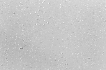 Leinwandbilder - The concept of raindrops falling on a gray background Abstract wet white surface with bubbles on the surface Realistic pure water droplet water drops for creative banner design