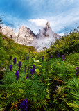 Fototapeta Góry - Wonderful Sunny Scenery of Dolomites mountains. Awesome alpine highlands in summer. Majestic Cimon della Pala peak with blue flowers under sunlight. Amazing nature landscape.