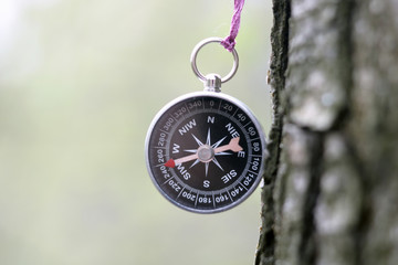 Old compass on tree in forest