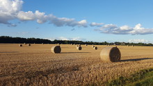 Hay Bales On Field Against Sky
