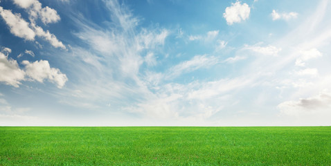 Wall Mural - green grass field and clear blue sky