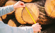 Closeup wood production warehouse manager checking size of cut tree log with measure tape. Man carpenter using measure tape for measuring chopped woods. Woodcutter, forester inspecting timber material