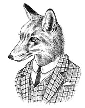 Fox Dressed Up In Suit. Aristocrat Or Old Gentleman. Fashion Animal Character In Office Style. Hand Drawn Anthropomorphism Sketch. Vector Engraved Illustration For Label, Logo And T-shirts Or Tattoo.