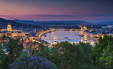 Wall Mural - Panoramic view on Budapest in spring