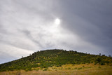 Fototapeta Na ścianę - Cloudy skies over lush landscape, Pilanesberg National Park, South Africa