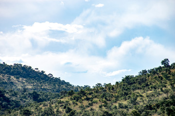 Wall Mural - Cloudy skies over lush landscape, Pilanesberg National Park, South Africa