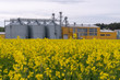 © Pokoman - silver silos on agro manufacturing plant for processing drying cleaning and storage of agricultural products. Large iron barrels of grain. modern plant against the background of a large rape field