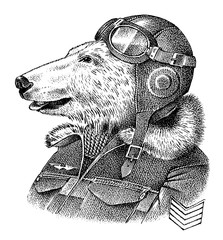 Wall Mural - Polar bear dressed up in pilot or airman. Flyboy or skyman. Fashion Animal character sketch. Hand drawn Anthropomorphism. Vector engraved illustration for label, logo and T-shirts or tattoo.