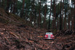Toy car in the woods