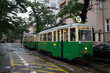 Old tram in Poznan. it's raining