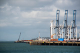 Fototapeta Sawanna - Large cranes used to lift heavy cargo at the Port of Auckland in New Zealand 