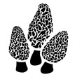 morel mushroom patch in black and white
