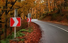 Arrow Signs On Roadside Amidst Trees In Forest During Autumn