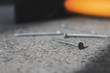 © Nataliya - Construction nail close-up on a gray background