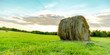round bale of dry hay in a green field