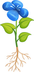 Wall Mural - blue flower with green leaves and roots on white background