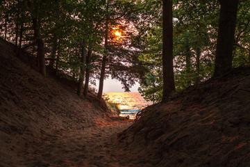 Wall Mural - Sunset on Lake Michigan shot through the dunes and trees in Saugatuck Michigan