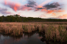 Colorful Clouds At Sunset Over Wildlife Refuge In Massachusetts