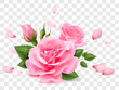 Pink red rose flower with leaves on transparent isolated background realistic vector