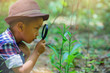 © Panumas - Happy little boy with magnifying glass explorer and learning the nature at home backyard